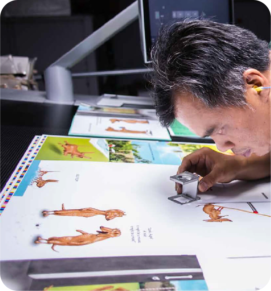 Digipac-solution-digital-printing